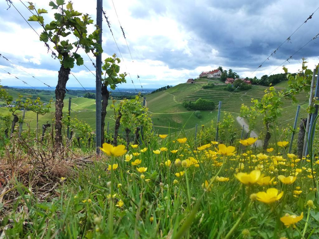 Baumanns Landhaus Durbach Bagian luar foto
