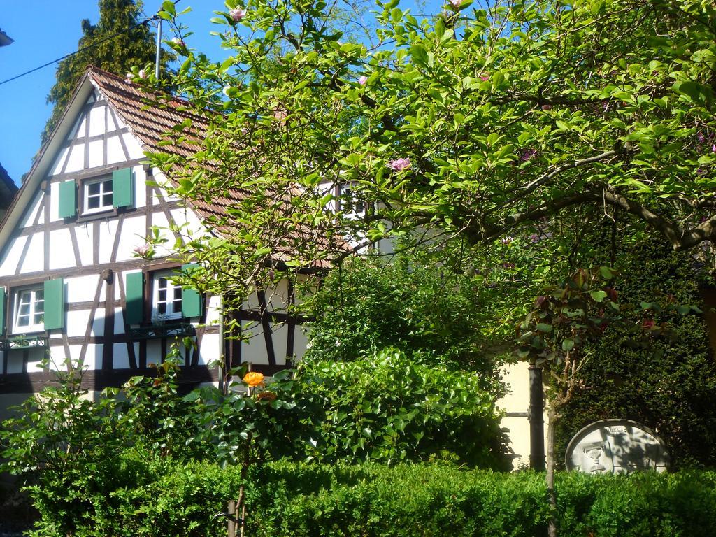 Baumanns Landhaus Durbach Bagian luar foto