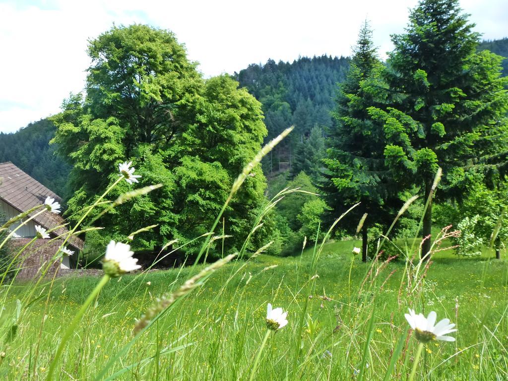 Baumanns Landhaus Durbach Bagian luar foto