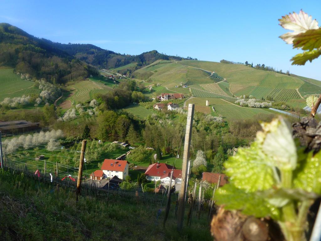 Baumanns Landhaus Durbach Bagian luar foto